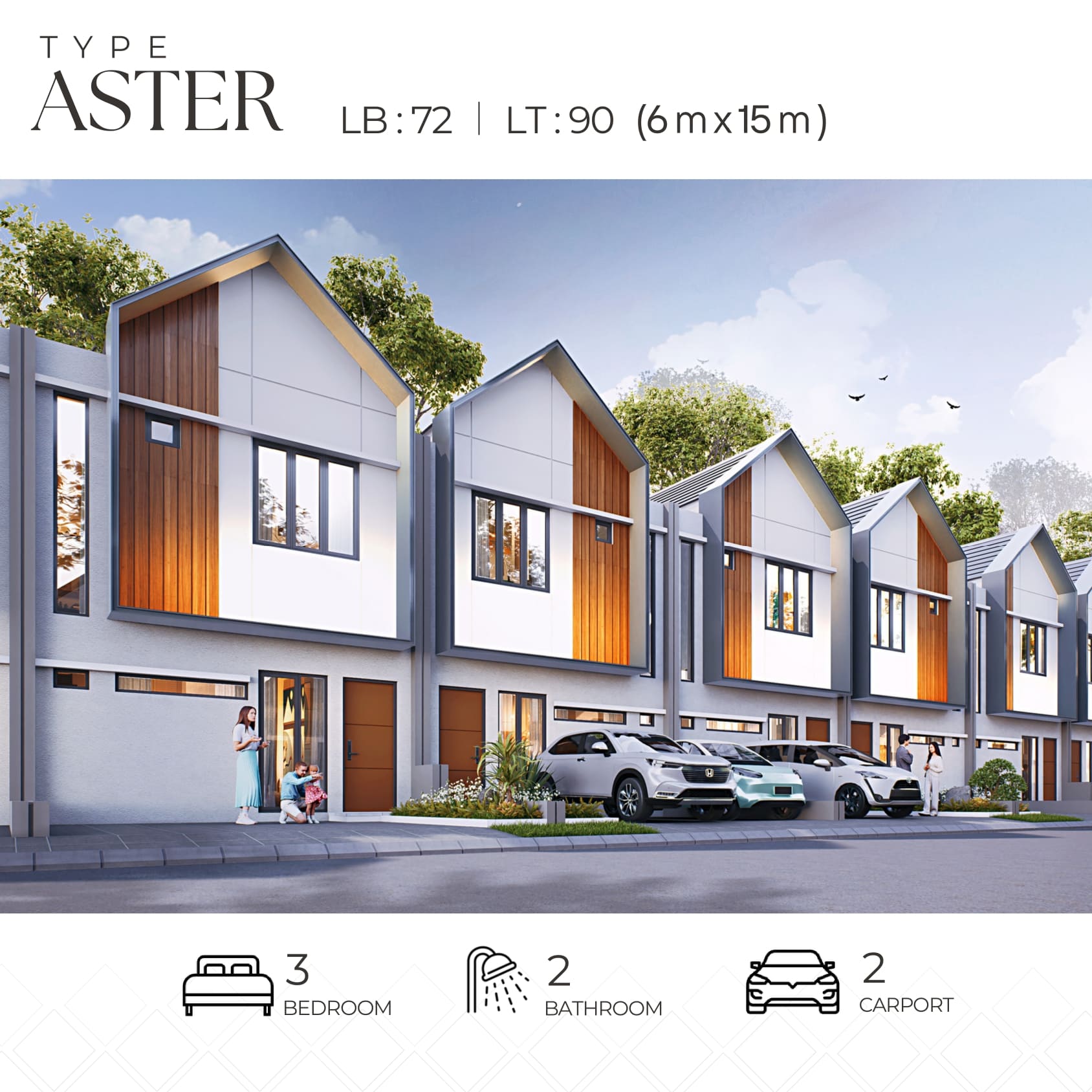 Modern Mansion Garden Tipe Aster